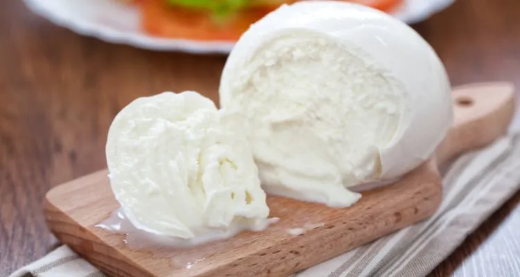 mozzarella di bufala