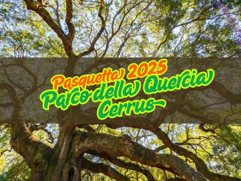 Pasquetta al Parco della Quercia Cerrus