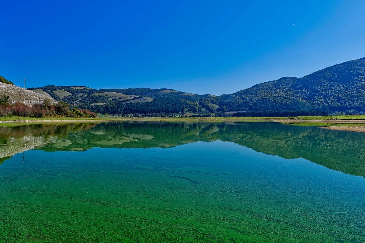 Le Migliori Aree Picnic al Lago Laceno nel 2025
