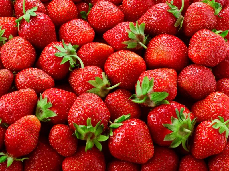 fragolata di acerno