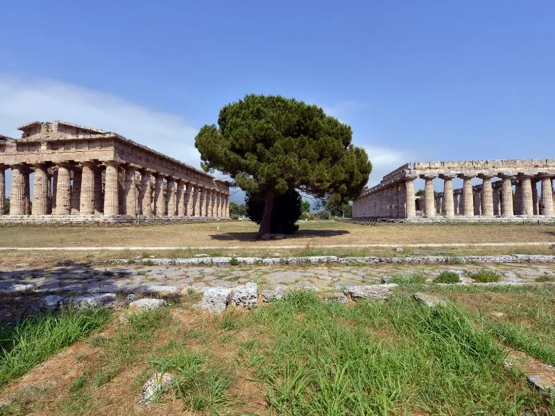 Arena dei templi Paestum i concerti e gli eventi in programma