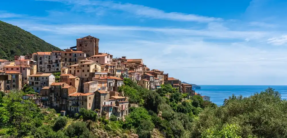 pisciotta