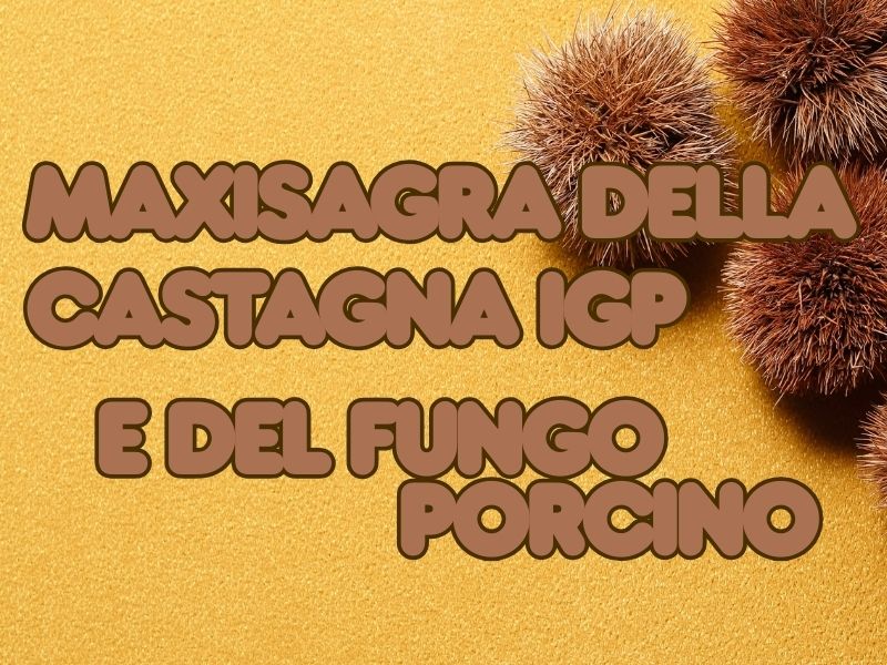sagra della castagna e del fungo porcino a roccamonfina