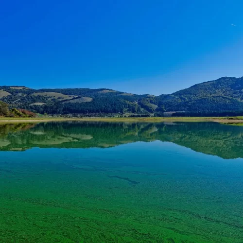 Le Migliori Aree Picnic al Lago Laceno nel 2025