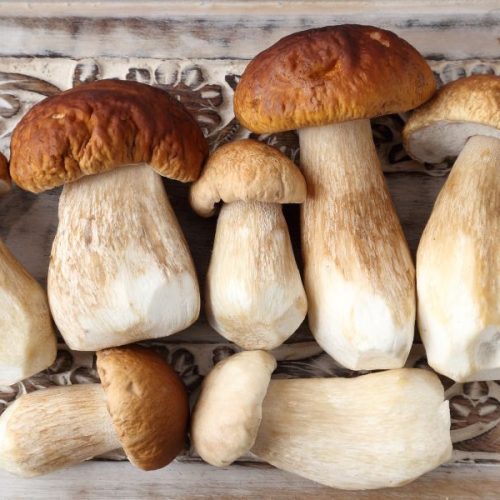 Sagra dei Funghi di Cusano Mutri 2025