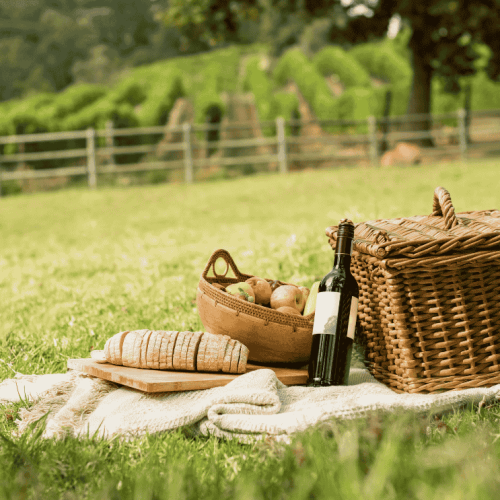 Aree pic nic al Monte Terminio: le migliori zone per il tuo barbecue
