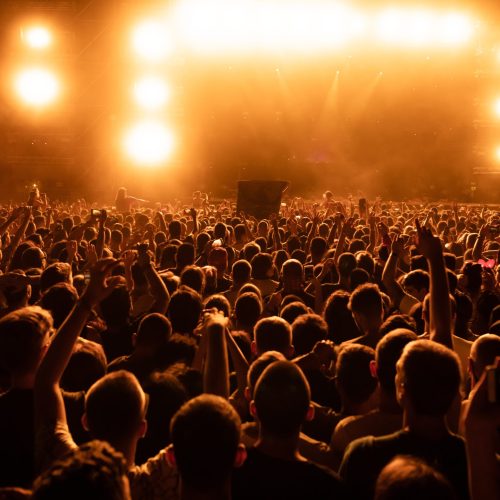 Back view of crowd of fans watching live performance on music concert at night. Copy space.