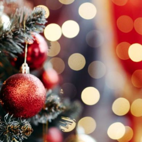 natale al parco del grassano