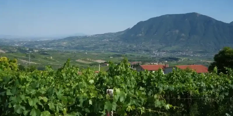 pic nic benevento