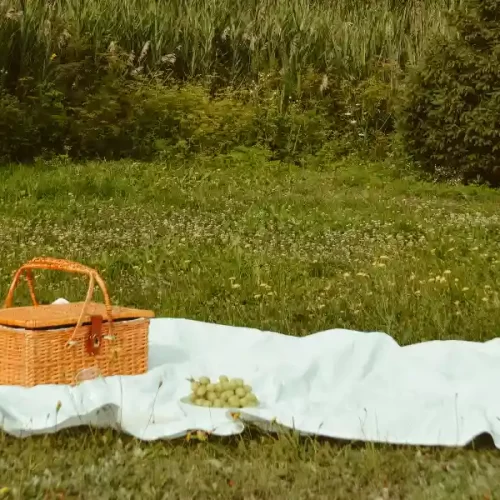 Aree pic nic a Salerno: i migliori parchi attrezzati