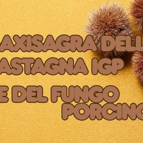 sagra della castagna e del fungo porcino a roccamonfina